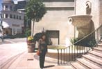 Mom on the Rodeo Dr.