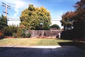 the backyard