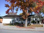 the frontyard