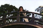 Jasmine on the small bridge