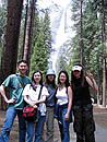 Bridal Veil