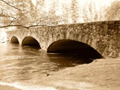 the bridge